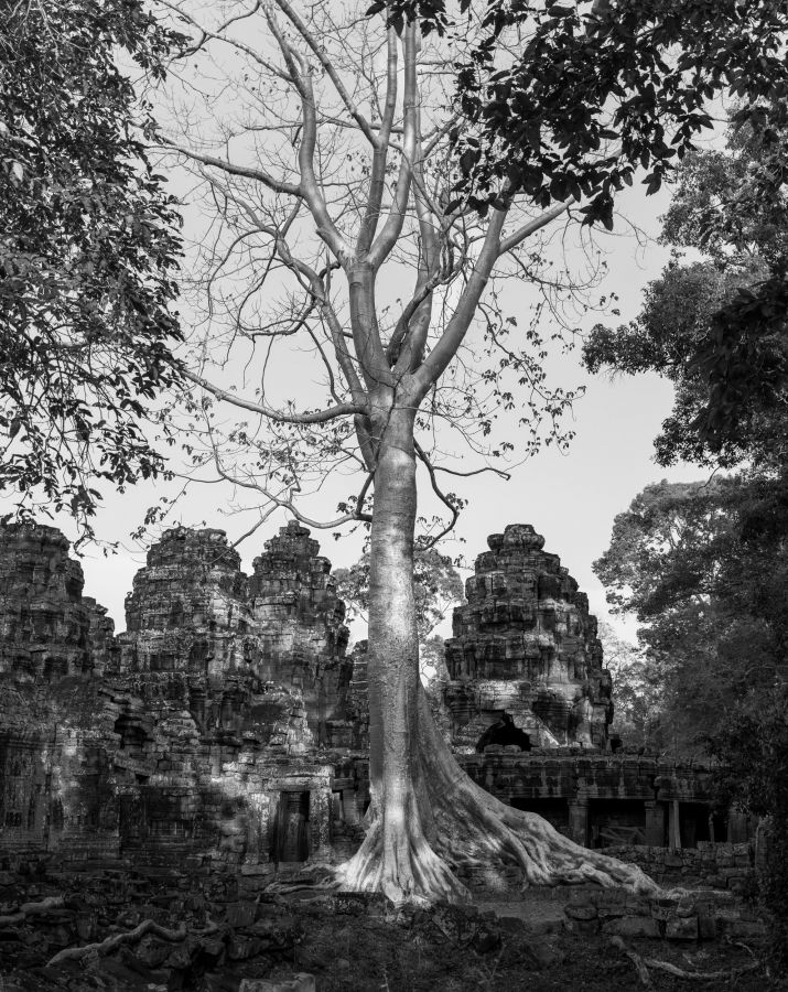 peach angkor-28-2 (1).jpg